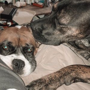 Meet your Posher, Kelsie